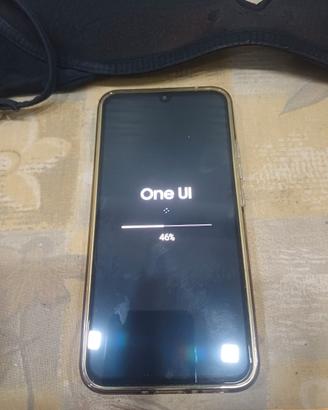 Cellulare  samsung