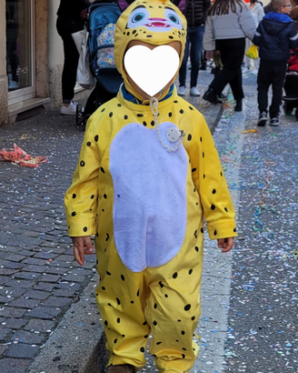 Costume carnevale 2-3 anni