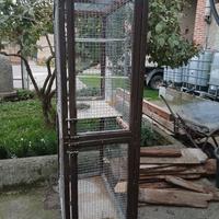 gabbie per uccelli 