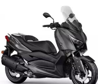 Xmax 300