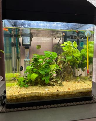 Acquario billy 16 blu bios a led
