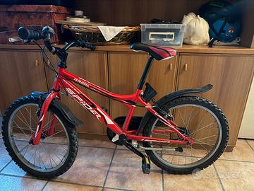 Bicicletta