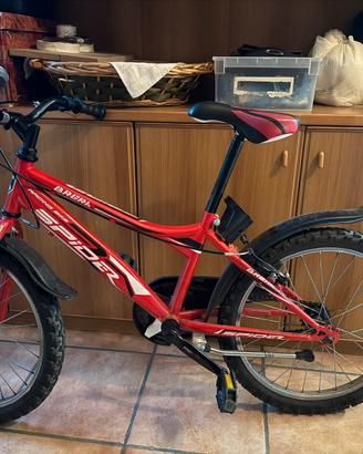 Bicicletta