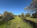 terreno-caniga-sassari-