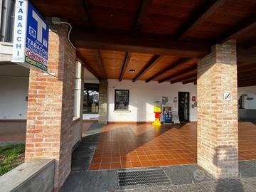 ATTIVITA' COMMERCIALE A PALADINA