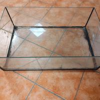 vasca per tartarughe 