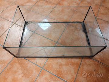 vasca per tartarughe 