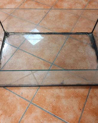 vasca per tartarughe 