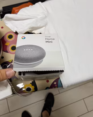 Google home mini