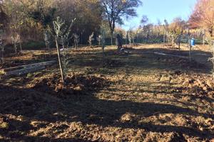 Terreno Agricolo