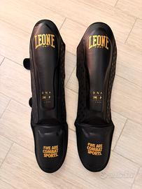 PARATIBIA LEONE