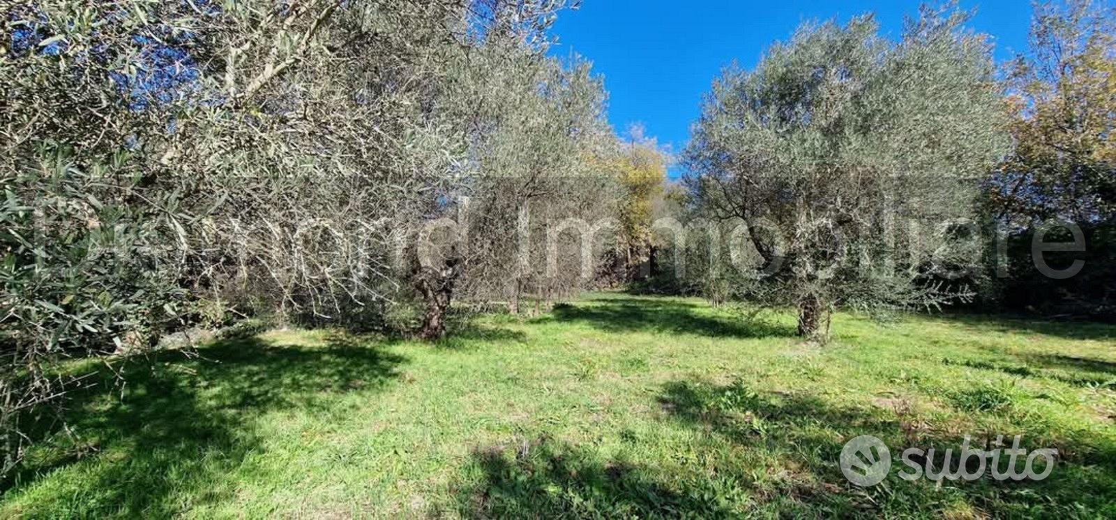 Terreno con rustico a Castiglione di Sicilia - Altro