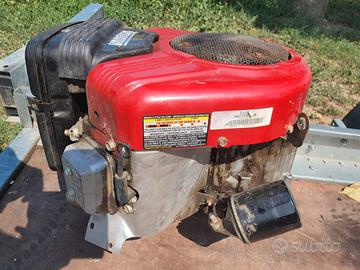 motore Briggs stratton Bicilindrico 
