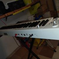 Tastiera Master 61 Tasti Korg K61P + Opzional