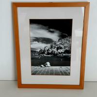 Quadro Fotografia Infrarosso Paesaggio Marittimo