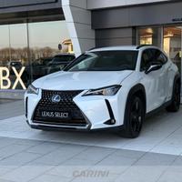 Lexus UX 250h 2.0 midnight 4wd cvt