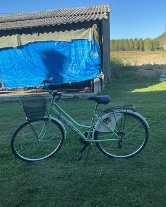 bicicletta donna Europa City cambio e portapacchi
