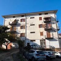 Appartamento con box e sottotetto rifinito