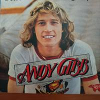 vinile 45 girli Andy Gibb