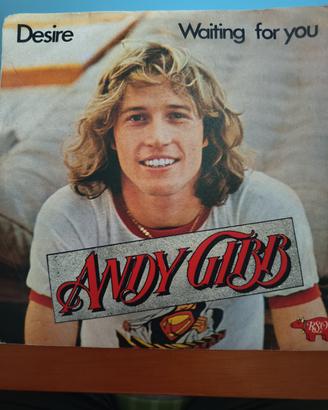vinile 45 girli Andy Gibb
