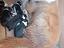 Immagine 3