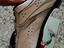 Immagine 5