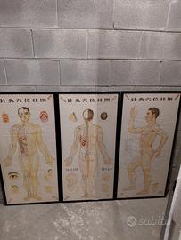 poster vintage agopuntura medicina asia