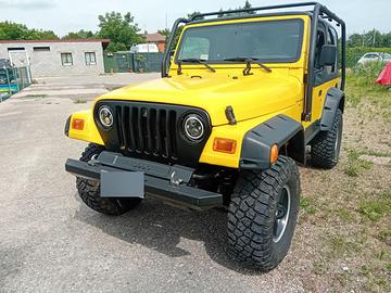 Jeep Wrangler 4.0 benzina del 2001