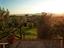 Immagine 12
