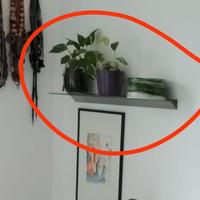 Mensole vetro satinato