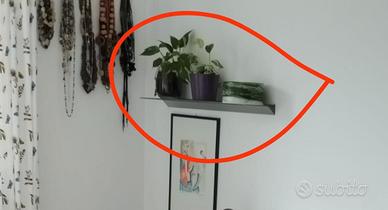 Mensole vetro satinato