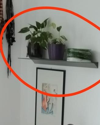 Mensole vetro satinato