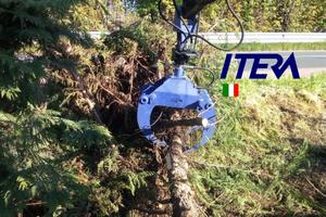 Pinza Legna 80cm con Rotatore Idraulico 10qli