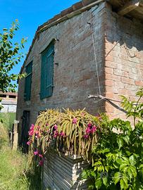 Rustico con terreno