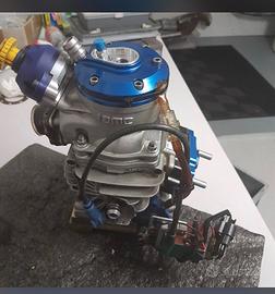 IAME REEDSTER V OK SENIOR