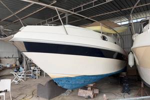 Barca freedom 26