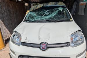 Fiat panda Hybrid 2021