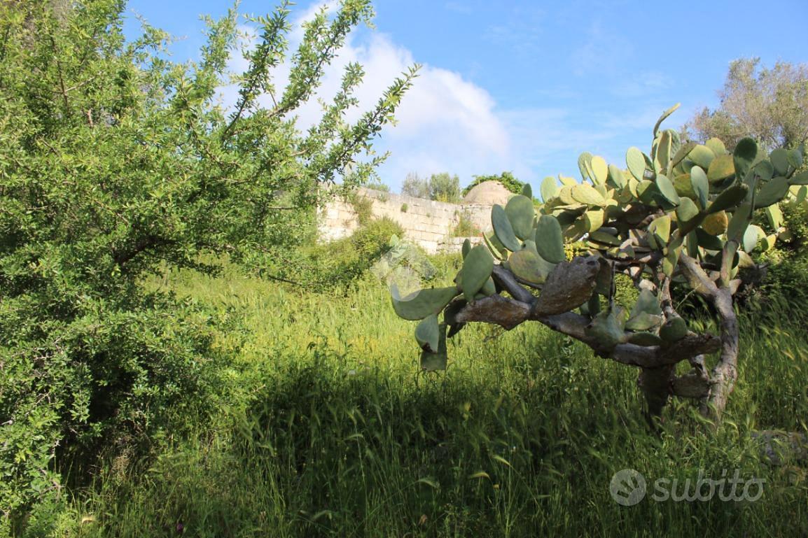 RUSTICO A CAROVIGNO - Vista 2