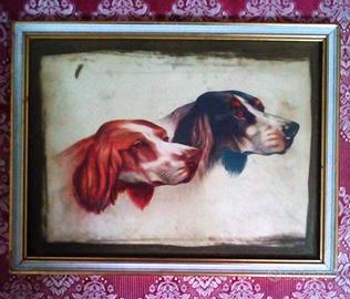 Quadro con cani