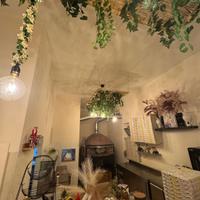 ? pizzeria avviata ?