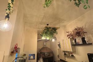 ? pizzeria avviata ?