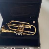 Cornetta sib yamaha