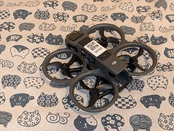 DJI Avata 2 solo corpo - WFBZ (Batteria +50€)