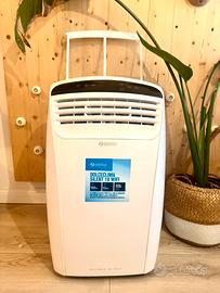 climatizzatore portatile