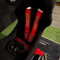 Cinture di sicurezza Sabelt FIA 2023 SIM racing