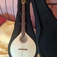 Bouzouki Irlandese APC