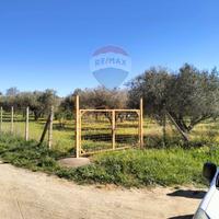 Terreno - Caltagirone