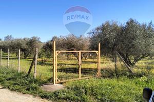 Terreno - Caltagirone