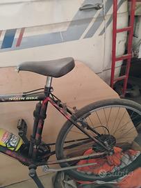 Bicicletta Giannini da Corsa