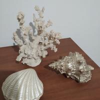 Decorazione Mare / Soprammobile  Maison Du Monde 